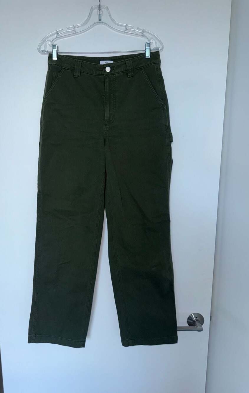 Tna Aritzia High-Waisted Carpenter Pants in Dark Green